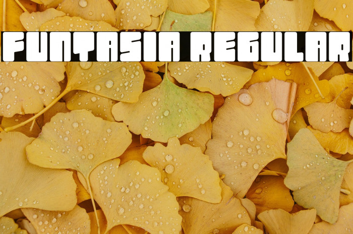 Funtasia Regular Example 2