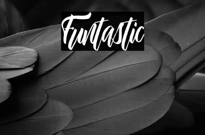 Funtastic Font examples