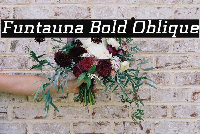 Funtauna Bold Oblique Example 1