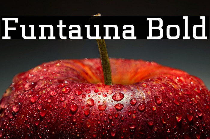 Funtauna Bold Example 2