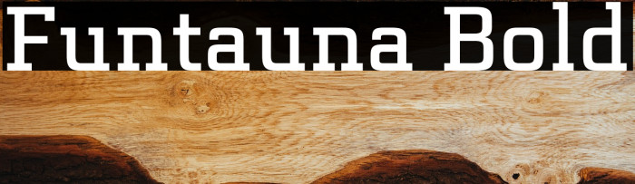 Funtauna Bold Example 3