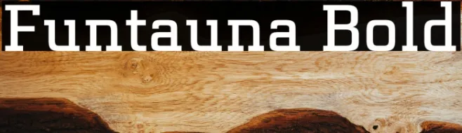 Funtauna Bold Example 3