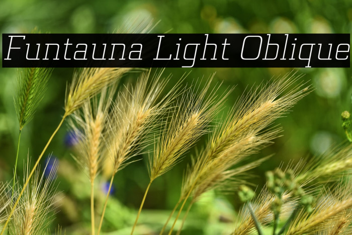 Funtauna Light Oblique Example 1