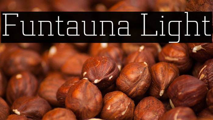 Funtauna Light Example 1