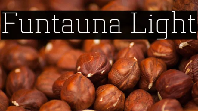 Funtauna Light Example 1