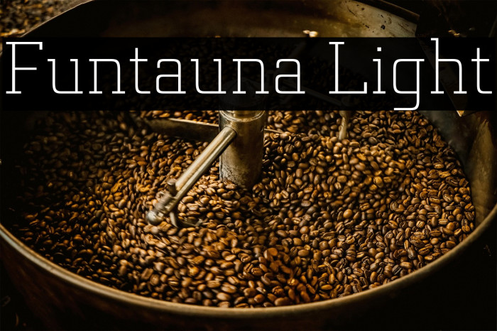 Funtauna Light Example 2