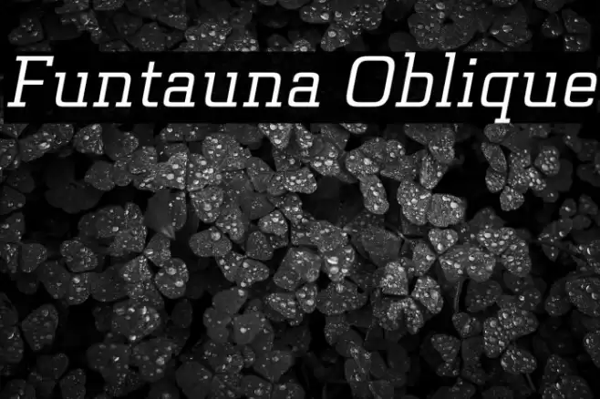 Funtauna Oblique Font examples