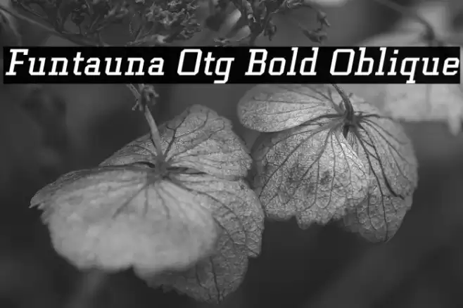 Funtauna Otg Bold Oblique Font examples