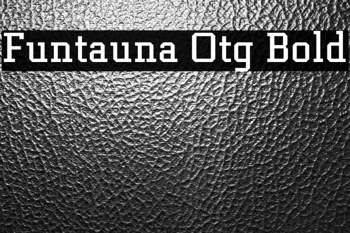 Funtauna Otg Bold Example 2