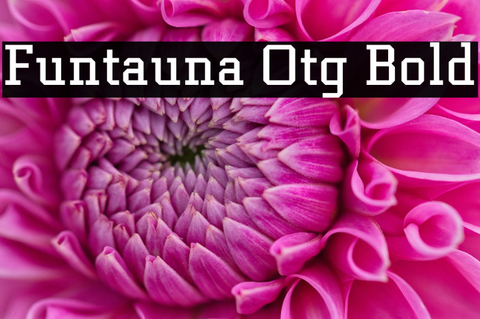 Funtauna Otg Bold Example 3