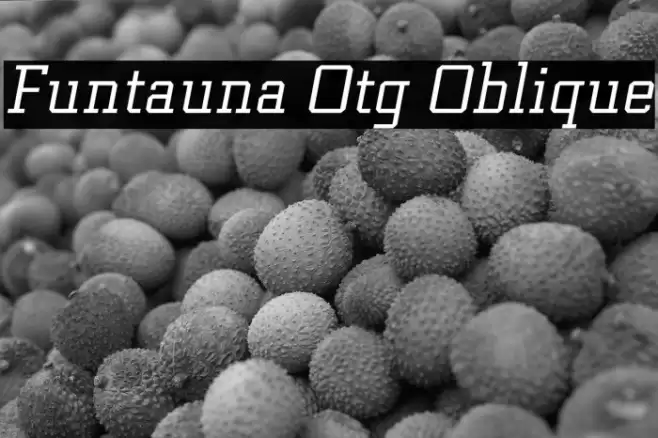 Funtauna Otg Oblique Font examples