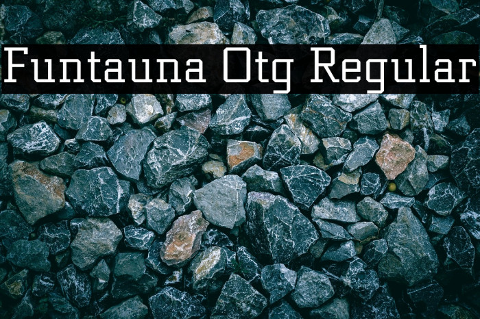 Funtauna Otg Regular Example 1