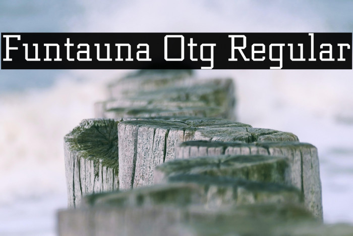 Funtauna Otg Regular Example 3
