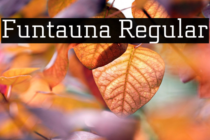 Funtauna Regular Example 3