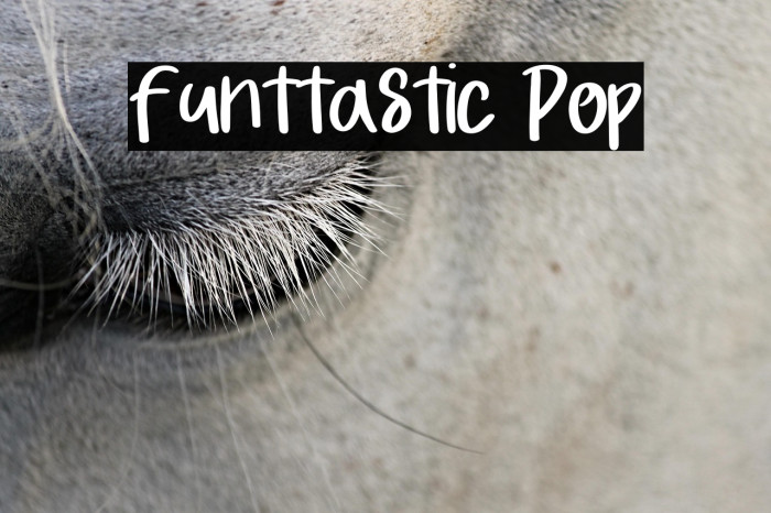 Funttastic Pop Example 1