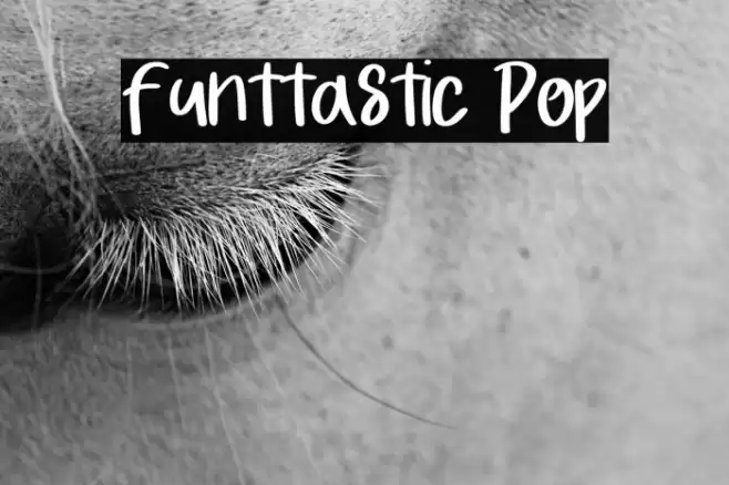 Funttastic Pop Font examples