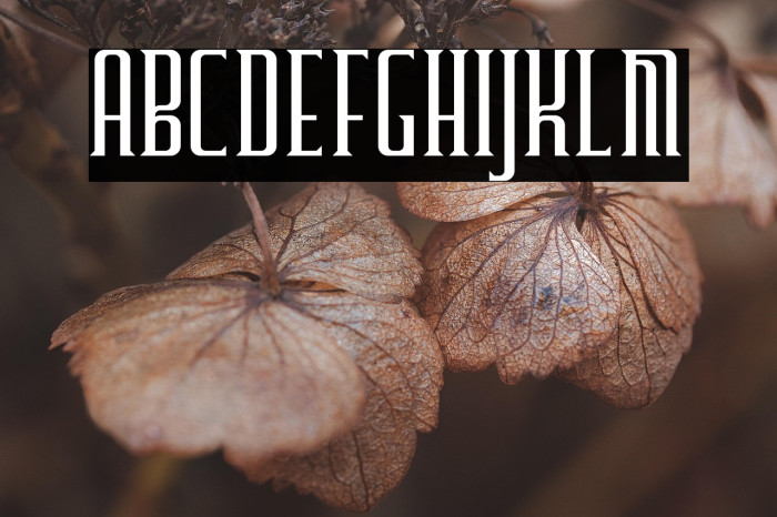 Furgatorio Regular Example 2