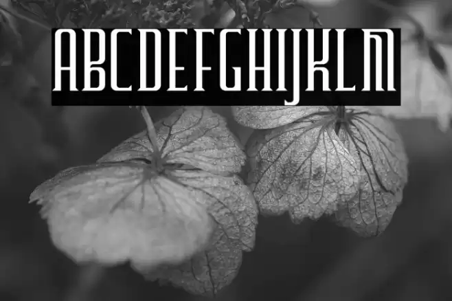 Furgatorio Regular Font examples