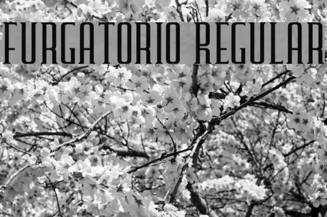 Furgatorio Regular Font examples