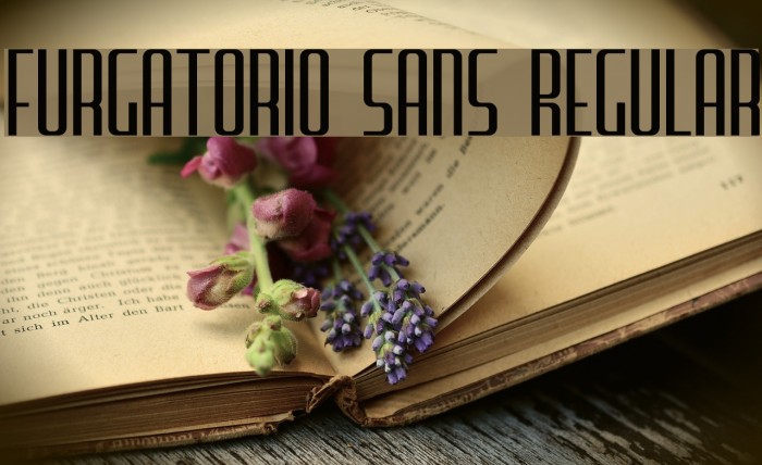 Furgatorio Sans Regular Example 1