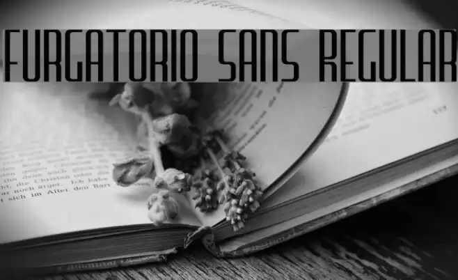 Furgatorio Sans Regular Font examples