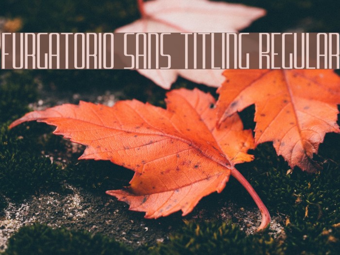Furgatorio Sans Titling Regular Font examples