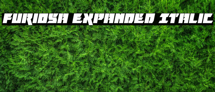 Furiosa Expanded Italic Font examples