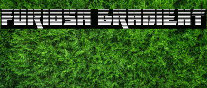 Furiosa Gradient Example 3