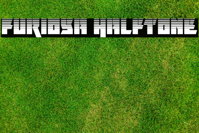 Furiosa Halftone Font examples