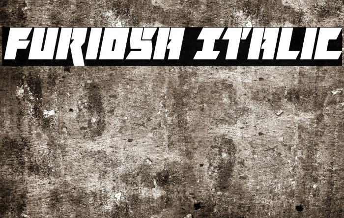Furiosa Italic Font examples