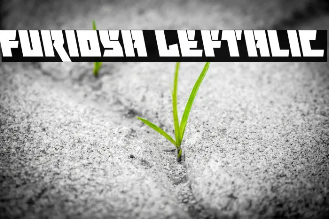 Furiosa Leftalic Example 3