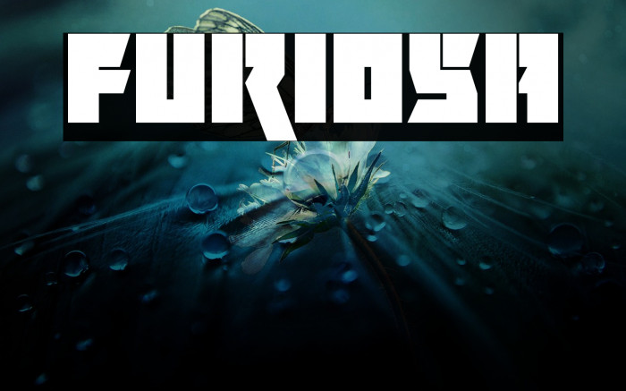 Furiosa Font examples