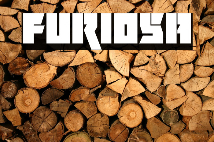 Furiosa Font examples