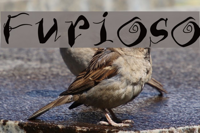 Furioso Font examples