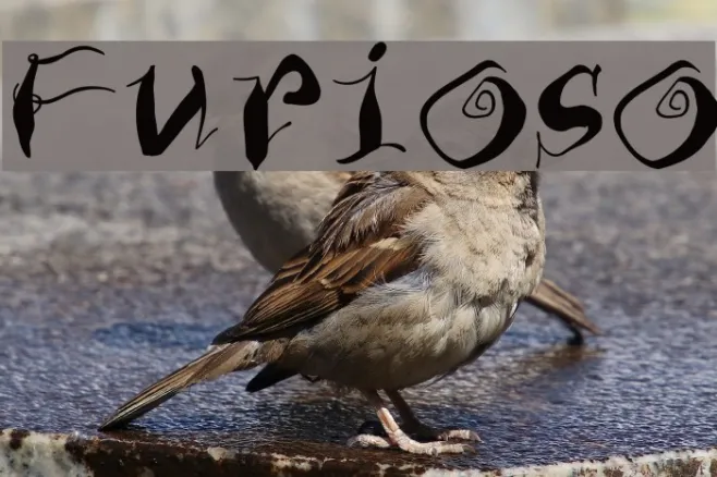 Furioso Example 1