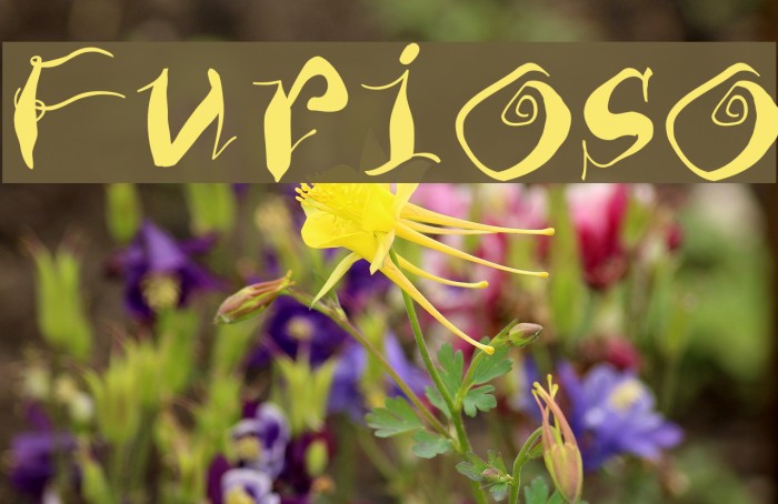 Furioso Font examples