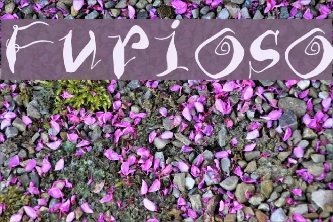 Furioso Example 3