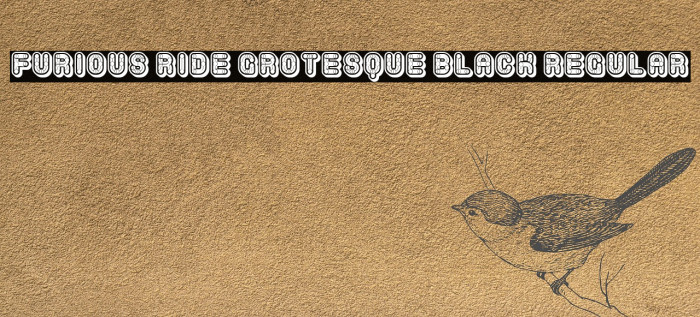 Furious Ride Grotesque Black Regular لخطوط تنزيل examples