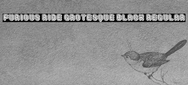 Furious Ride Grotesque Black Regular Font examples