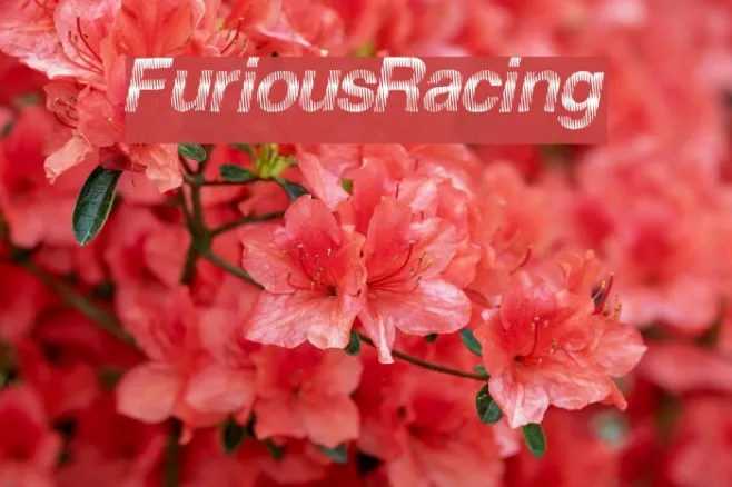 FuriousRacing Example 2
