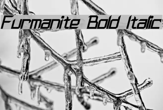 Furmanite Bold Italic Font examples