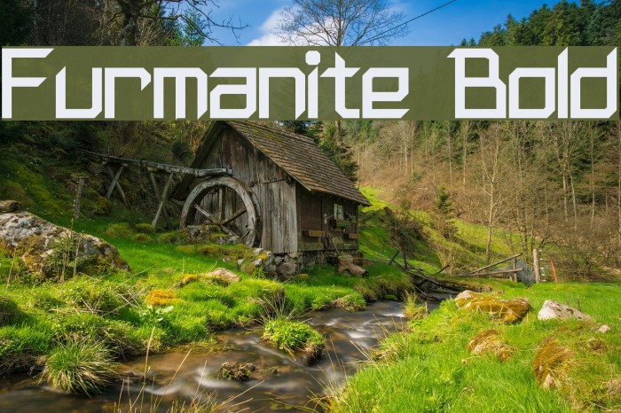 Furmanite Bold Example 2