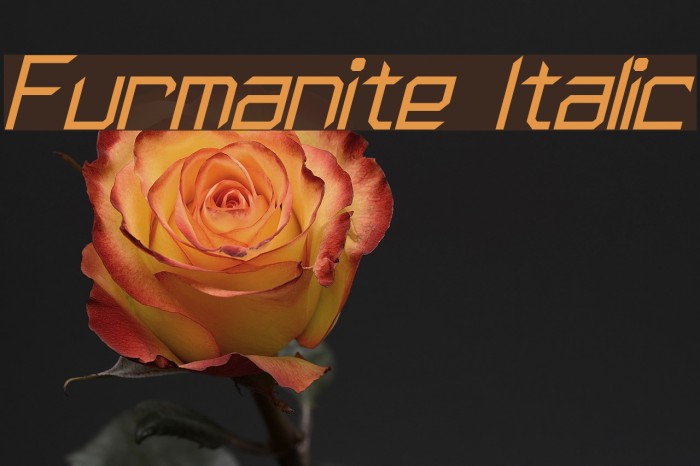 Furmanite Italic Example 2