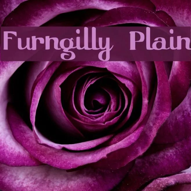 Furngilly  Plain Example 2