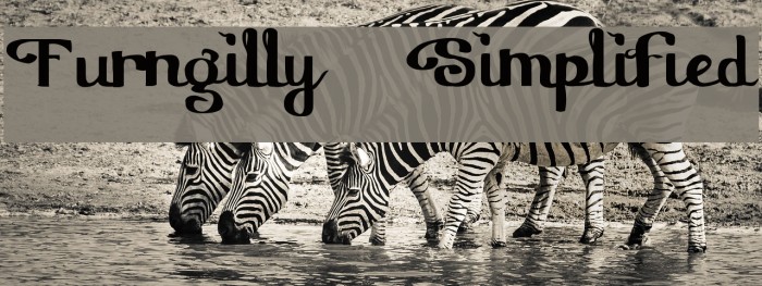 Furngilly Simplified Font examples