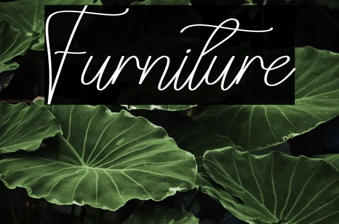 Furniture Example 3