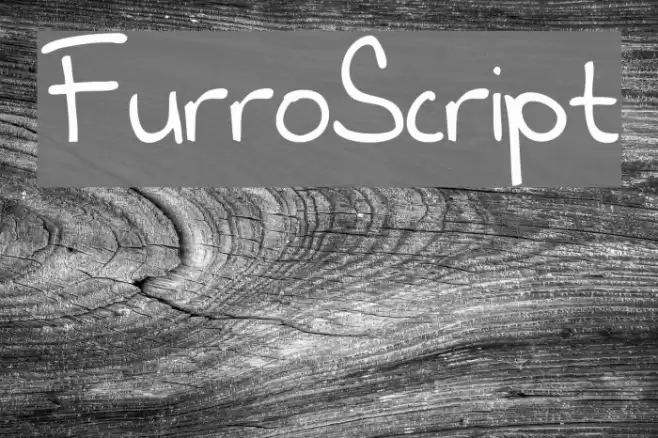 FurroScript Font examples