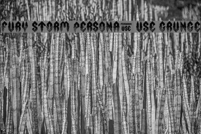 Fury Storm Personal Use Grunge Font examples
