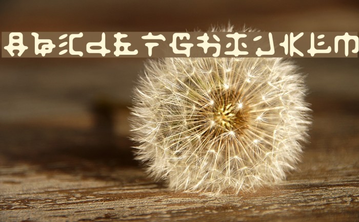 Fusaka Font examples