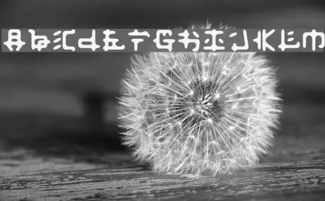 Fusaka フォント examples
